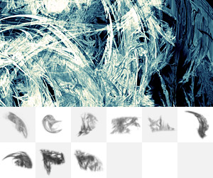 apophysis