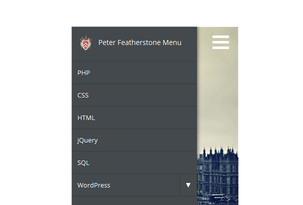 RESPONSIVE MENU