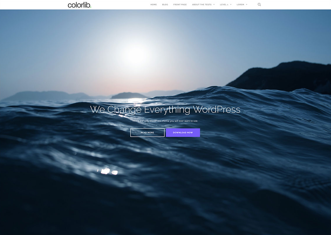 shapely-freee-fullscreen-multipurpose-wordpress-theme