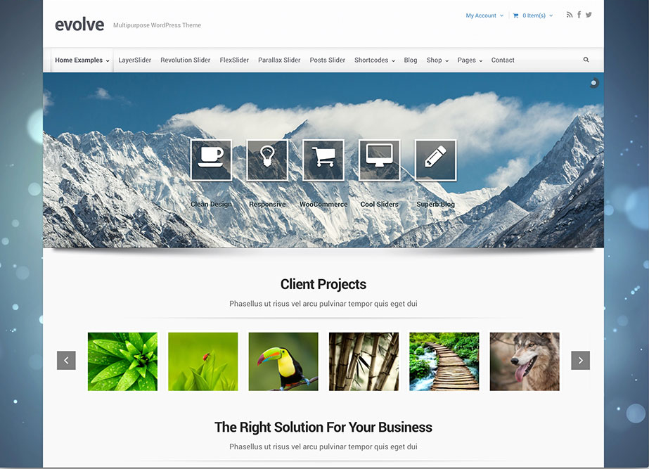 evelvo-corporate-theme